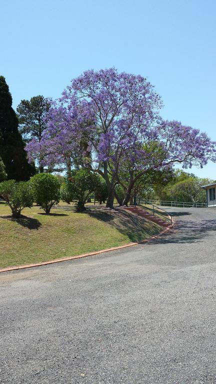 Jacaranda Motor Lodge Grafton Exterior photo